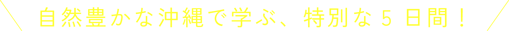 自然豊かな沖縄で学ぶ、特別な5日間