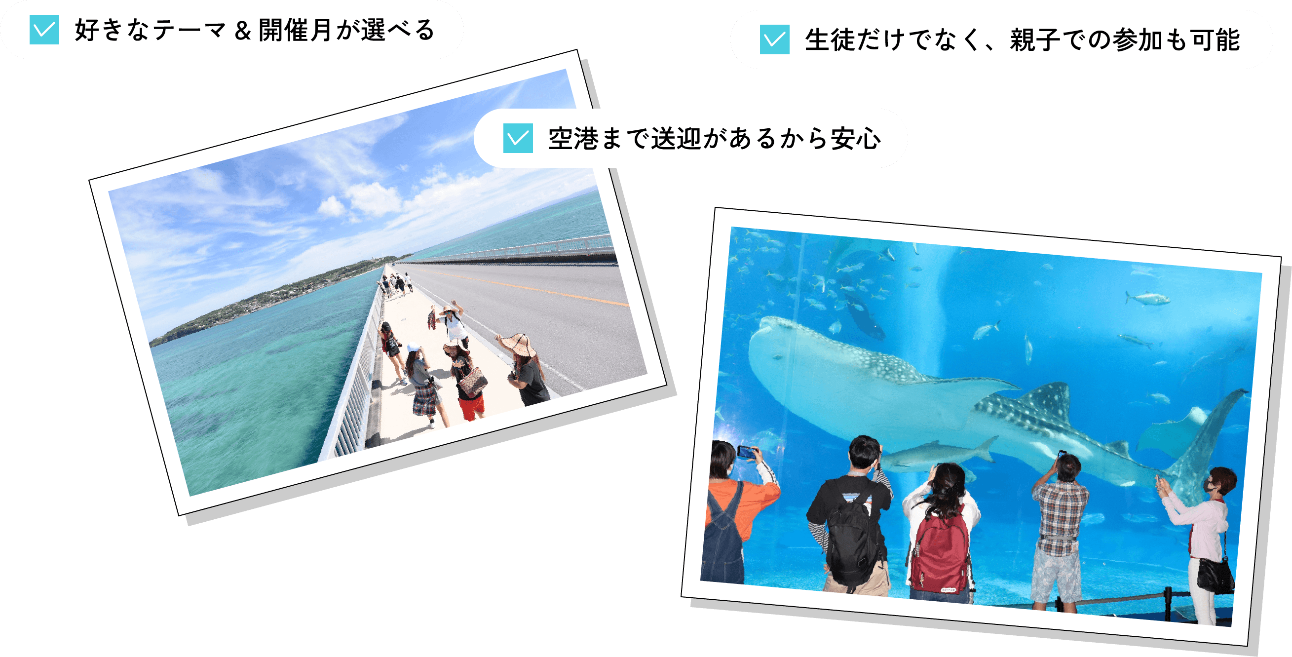 好きなテーマ＆開催月が選べる 生徒だけでなく、親子での参加も可能 空港まで送迎があるから安心